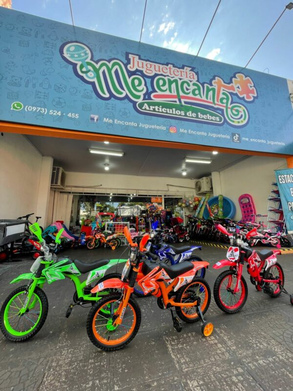 BICIMOTO ARO 12