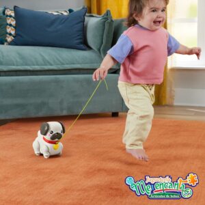 Pug Pasea Conmigo