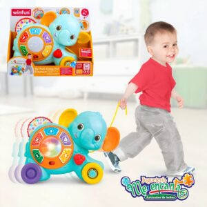 Elefante Empuja Y Se Va